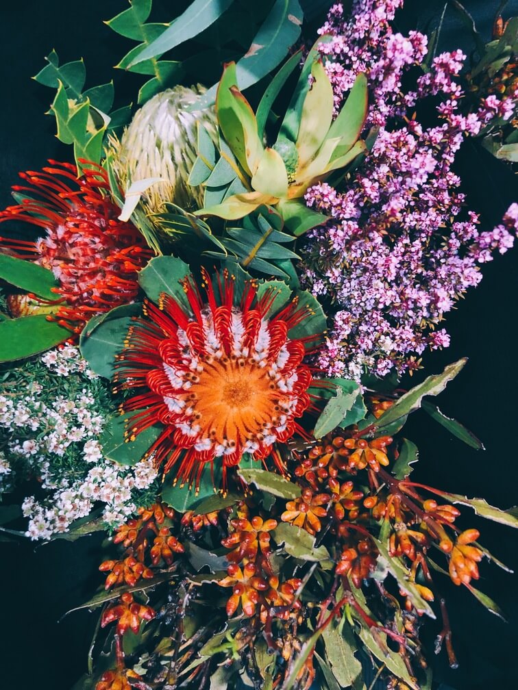 beautiful-exotic-flowers-2025-01-09-06-27-23-utc