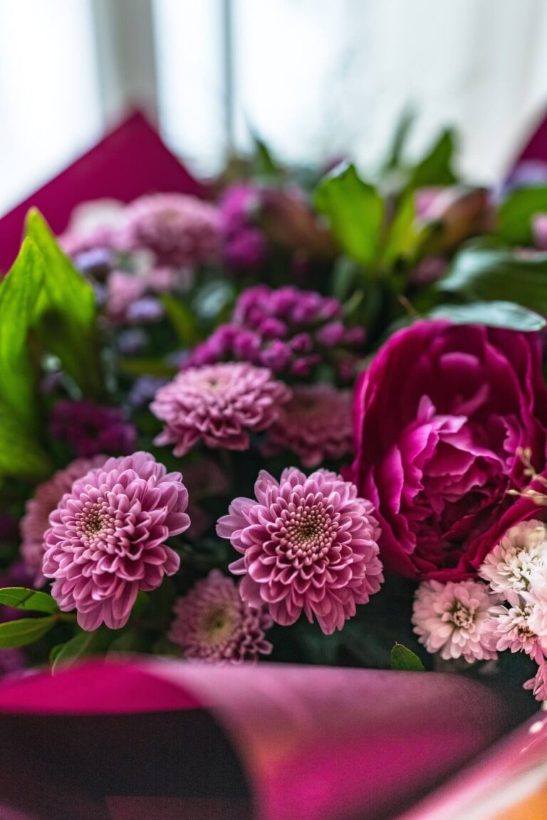 fresh-flowers-2024-11-27-01-52-49-utc